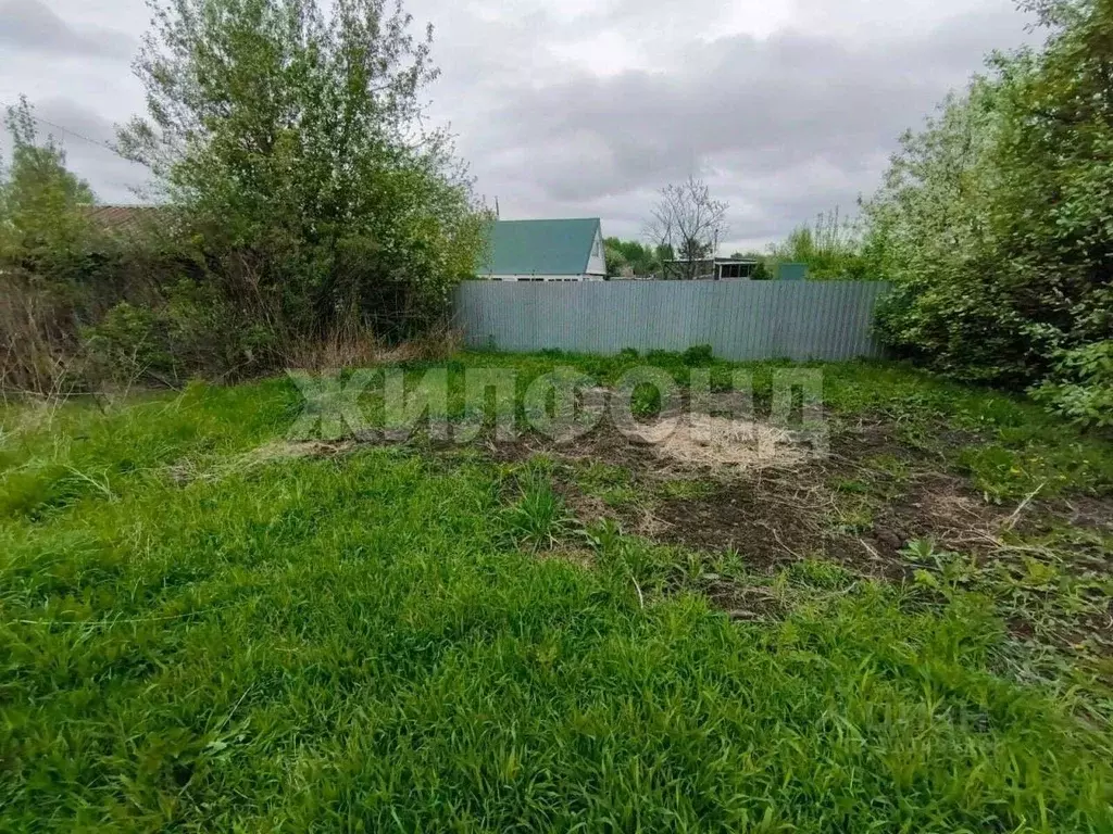 Участок в Новосибирская область, Новосибирск Тайфун СТ,  (6.5 сот.) - Фото 0