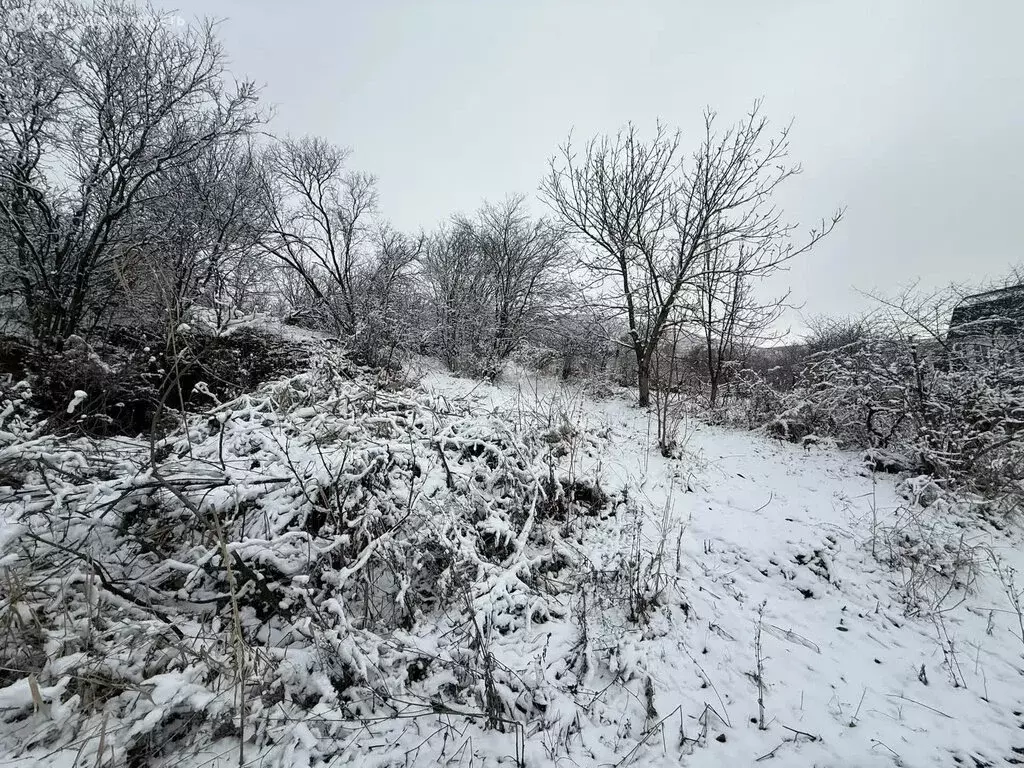 Участок в Ставропольский край, Предгорный муниципальный округ, садовое ... - Фото 0