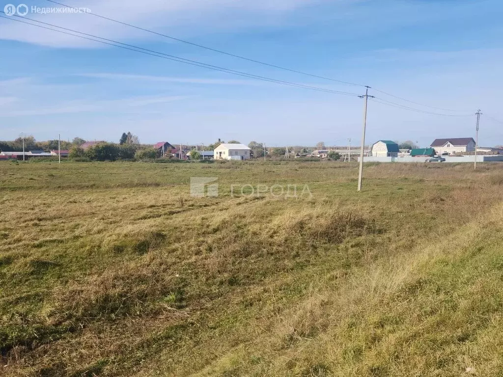 Участок в Толмачёвский сельсовет, деревня Алексеевка (24 м) - Фото 1