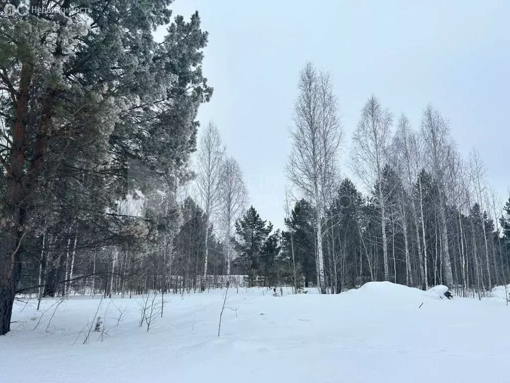 Участок в Тюменская область, Нижнетавдинский муниципальный округ, ... - Фото 0