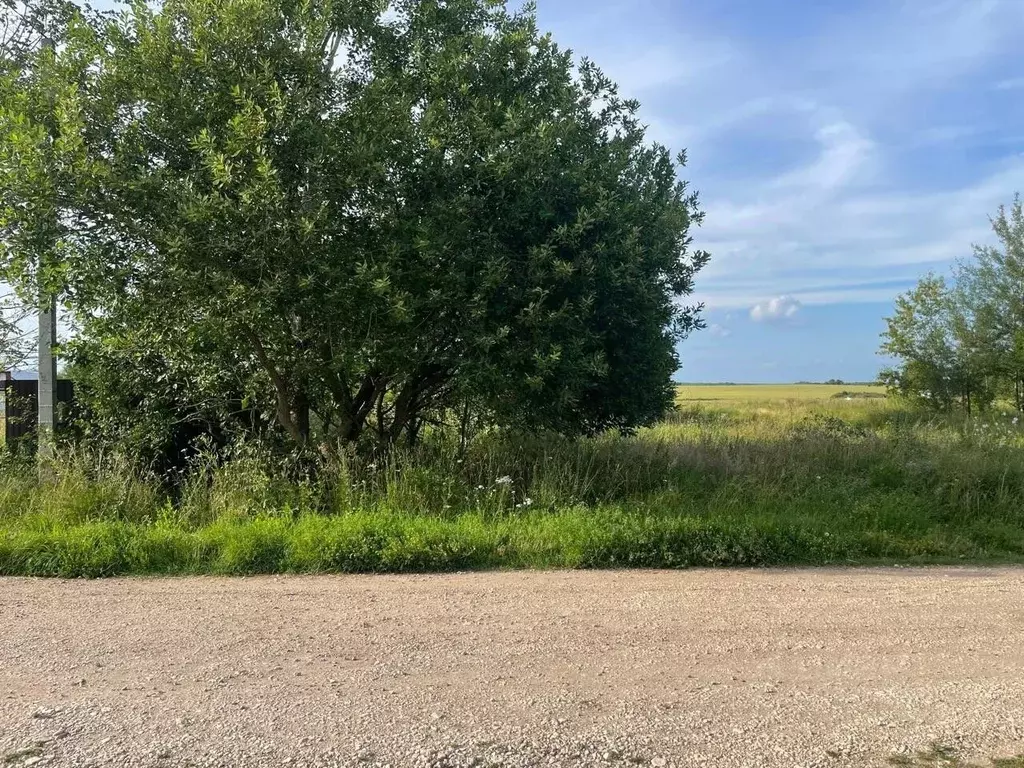 Участок в Владимирская область, Суздальский район, Павловское ... - Фото 1