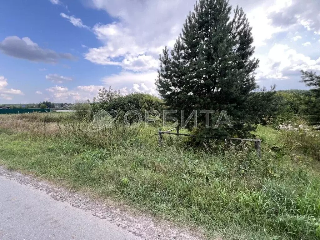 Участок в Тюменская область, Тюменский муниципальный округ, с. Кулига ... - Фото 1
