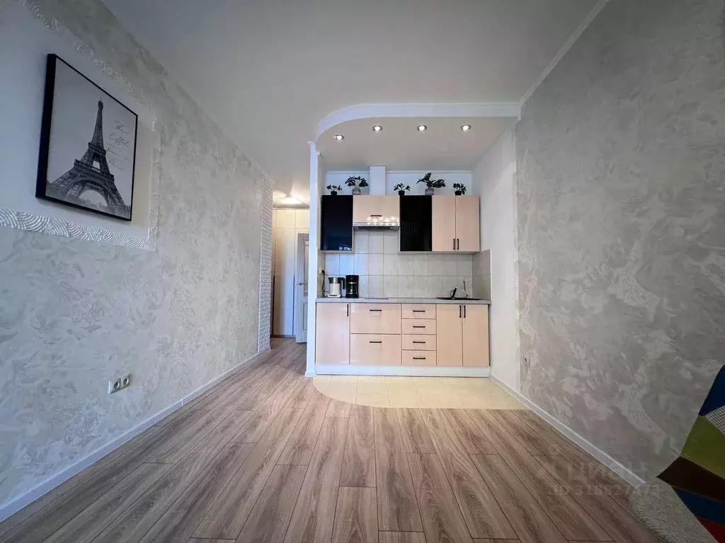 Студия Санкт-Петербург просп. Королева, 7 (30.0 м) - Фото 1