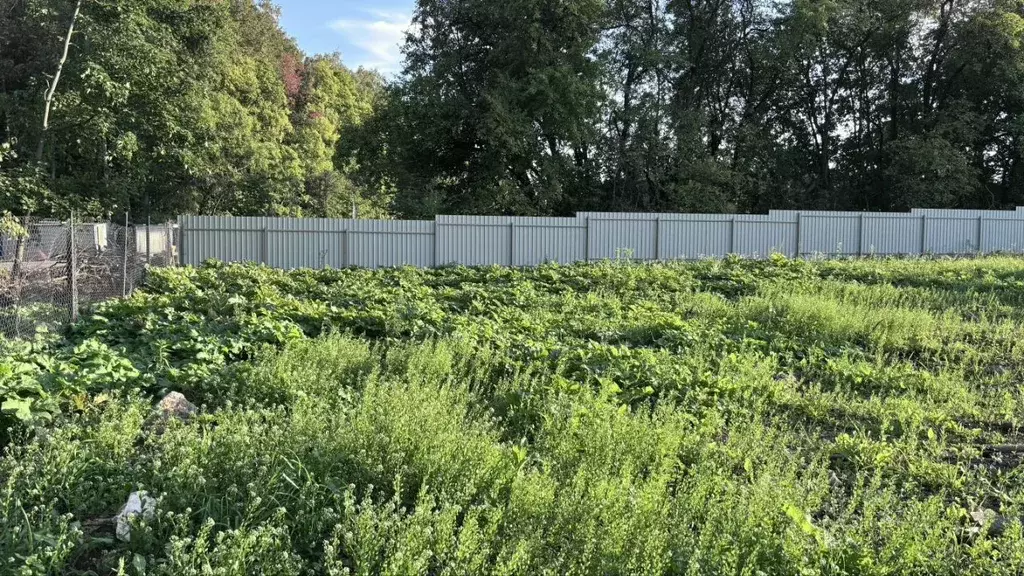Участок в Московская область, Пушкинский городской округ, д. ... - Фото 1
