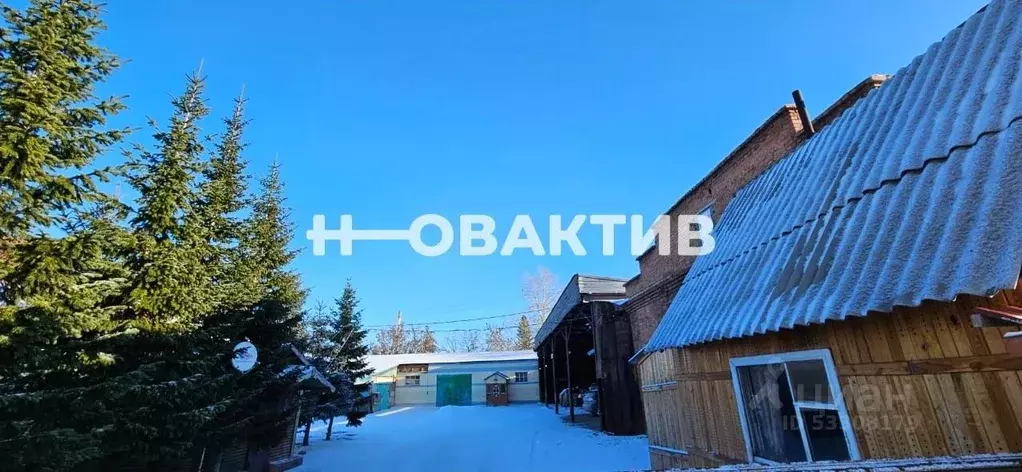 Помещение свободного назначения в Новосибирская область, Черепаново ... - Фото 1