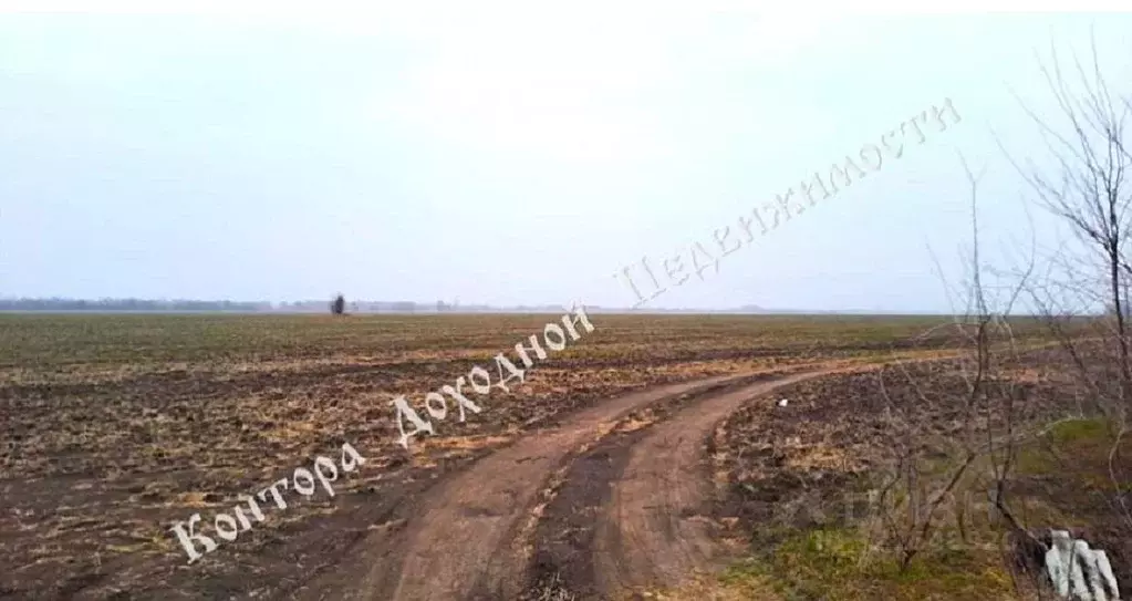 Участок в Ростовская область, Батайск  (20.0 сот.) - Фото 1