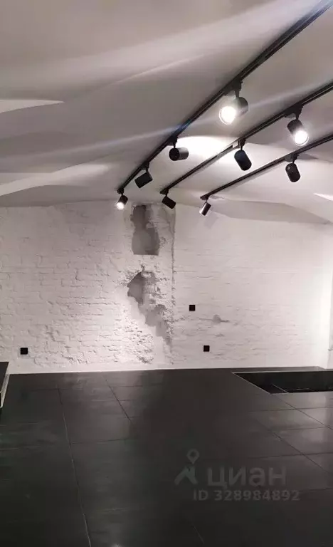 Помещение свободного назначения в Санкт-Петербург пер. Климов, 7 (62 ... - Фото 1