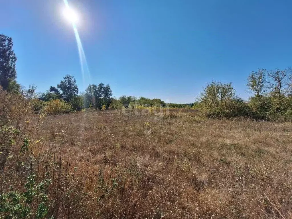 Участок в Воронежская область, Семилукский район, с. Девица  (18.0 ... - Фото 1