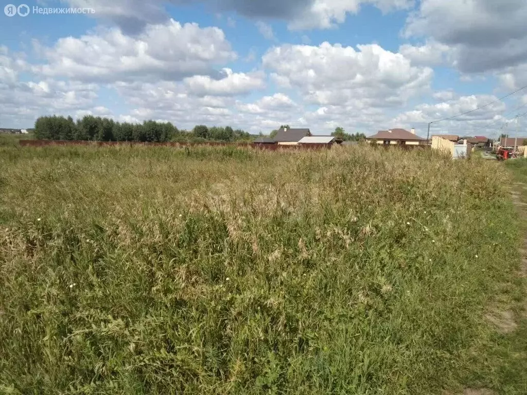 Участок в Курганская область, Кетовский муниципальный округ, деревня ... - Фото 2