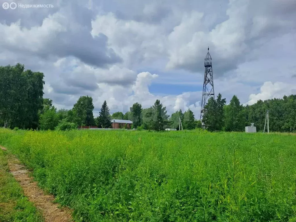 Участок в Новосибирск, СНТ Приморье (4 м) - Фото 1