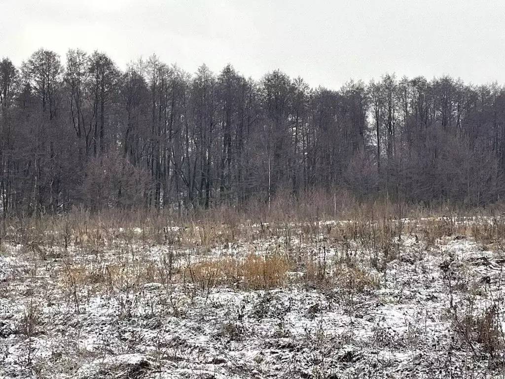 Участок в Московская область, Бронницы  (10.0 сот.) - Фото 0