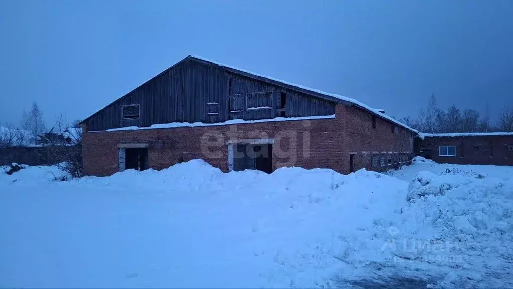 Склад в Новосибирская область, Ордынский район, пос. Чернаково ул. ... - Фото 1