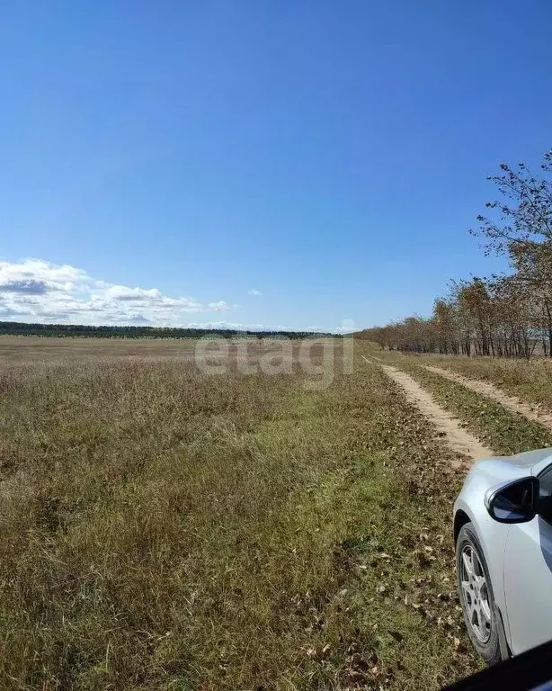 Участок в Бурятия, Кабанский район, с. Дубинино  (1200.0 сот.) - Фото 1