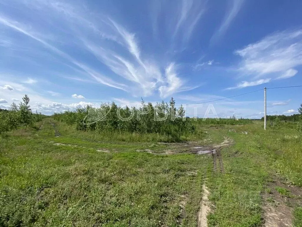 Участок в Тюменская область, Тюменский район, с. Борки  (10.0 сот.) - Фото 0