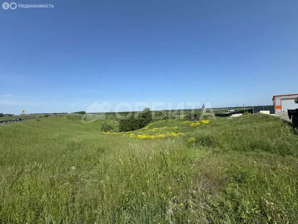 Участок в Тюменский район, село Кулаково (10.2 м) - Фото 1