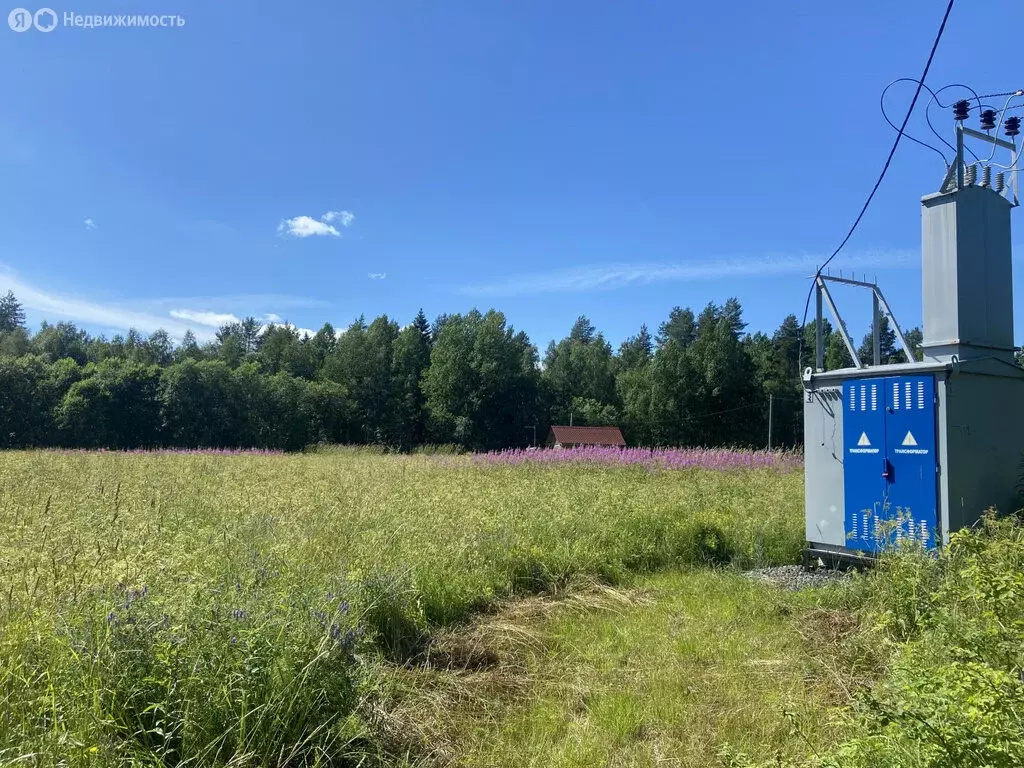 Участок в Кондопожский район, Кончезерское сельское поселение, деревня ... - Фото 1