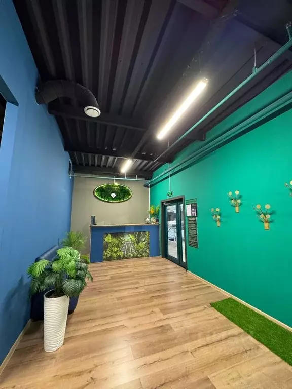 Торговая площадь в Московская область, Одинцовский городской округ, ... - Фото 2