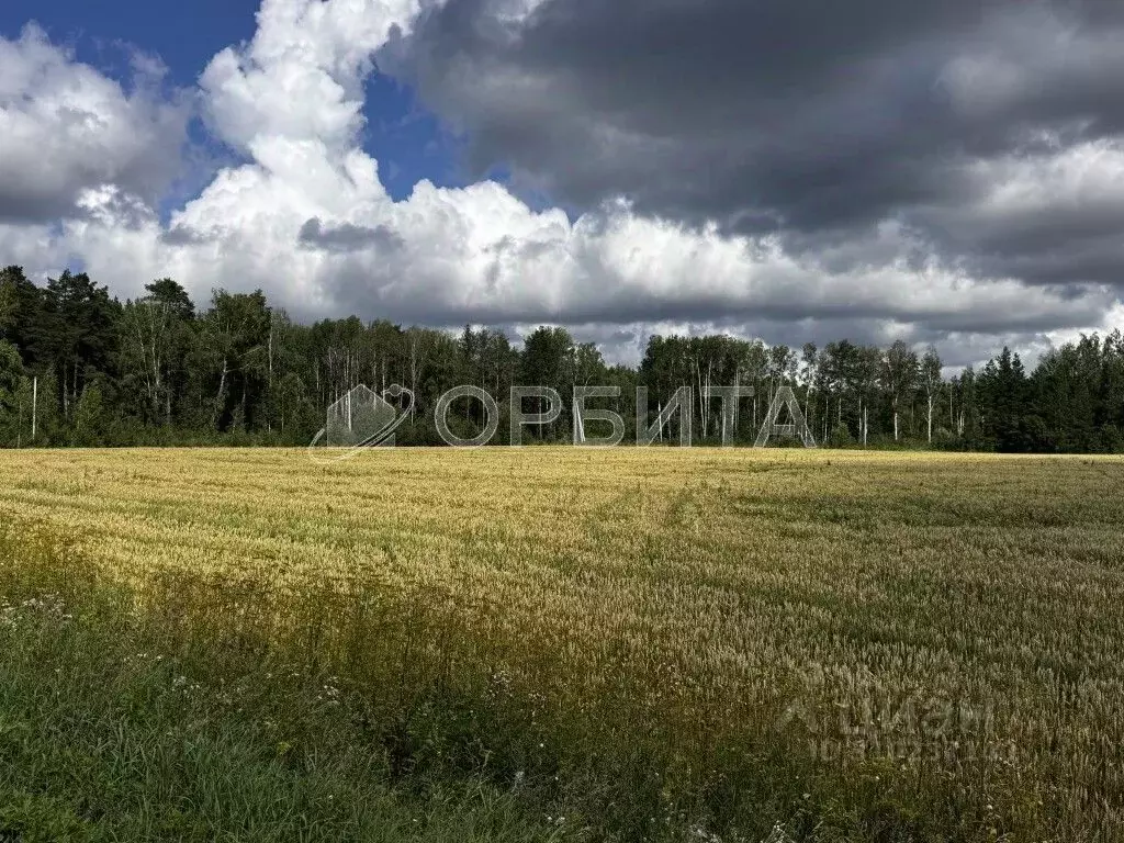 Участок в Тюменская область, Тюменский район, с. Кулига  (6.5 сот.) - Фото 0