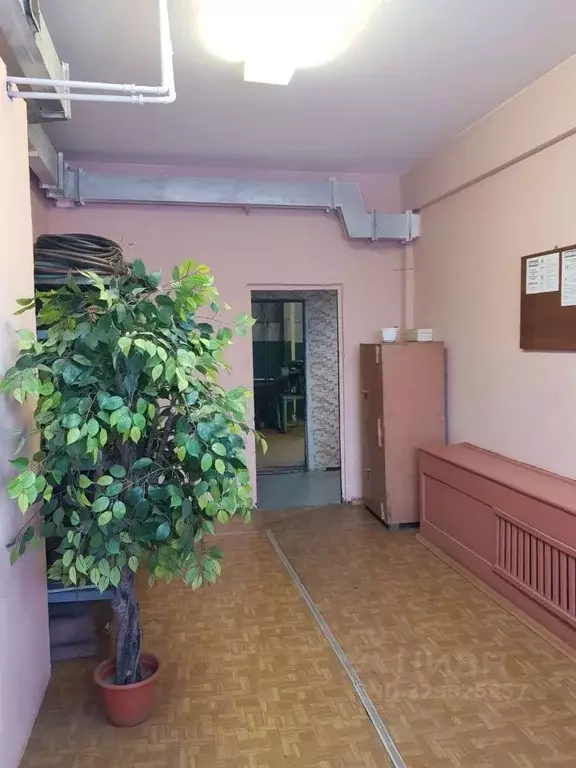 Помещение свободного назначения в Коми, Воркута ул. Гоголя, 6 (234 м) - Фото 1