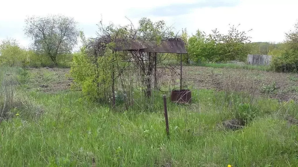 Участок в Беломестненское сельское поселение, садоводческое ... - Фото 1