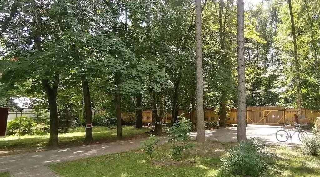 Участок в Московская область, Пушкинский городской округ, Черкизово ... - Фото 1