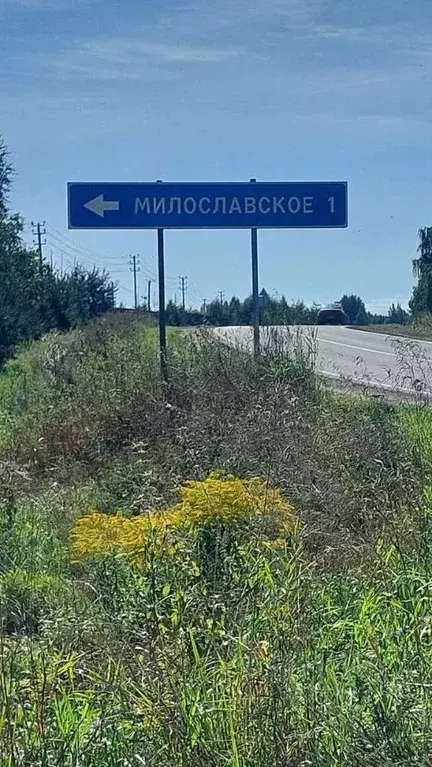 Участок в Новгородская область, Новгородский район, Ракомское с/пос, ... - Фото 1