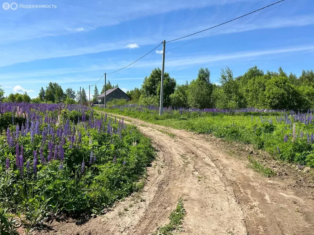 Участок в Александров, посёлок Совхоз Правда, 11-я линия (3 м) - Фото 0