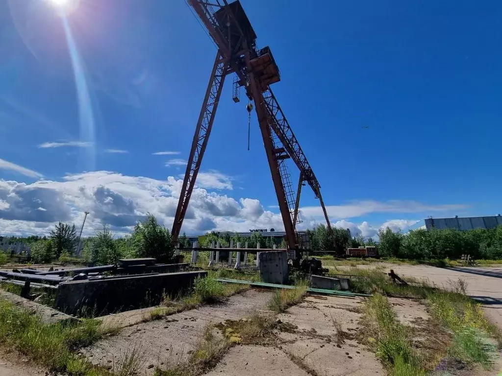 Производственное помещение в Ленинградская область, Сосновый Бор ул. ... - Фото 1