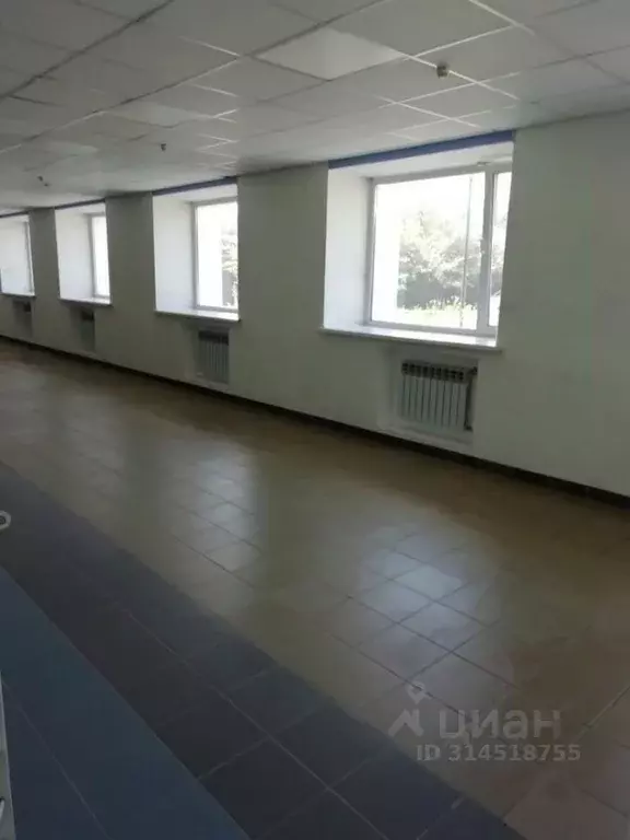 Помещение свободного назначения в Алтайский край, Барнаул просп. ... - Фото 1