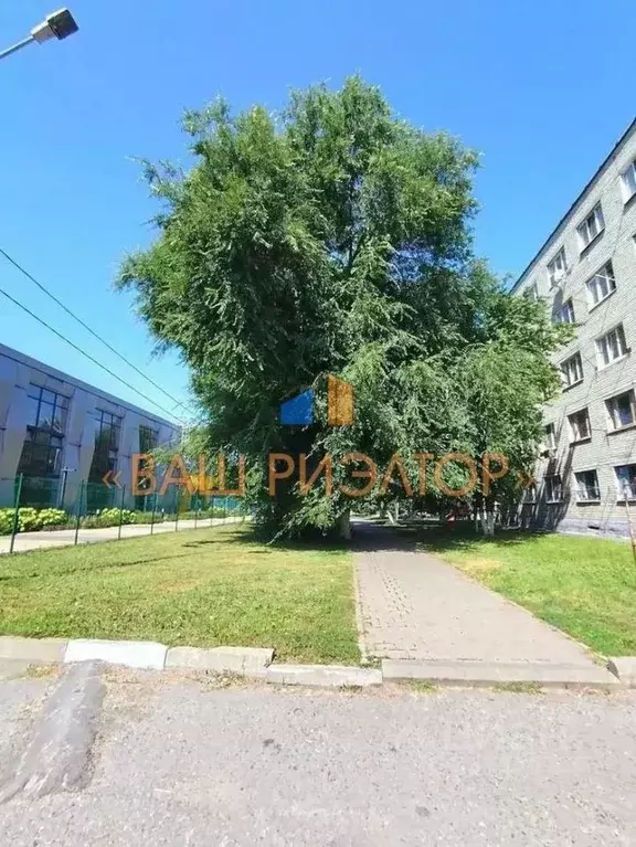 Комната Белгородская область, Губкин ул. Фрунзе, 10Б (17.6 м) - Фото 2