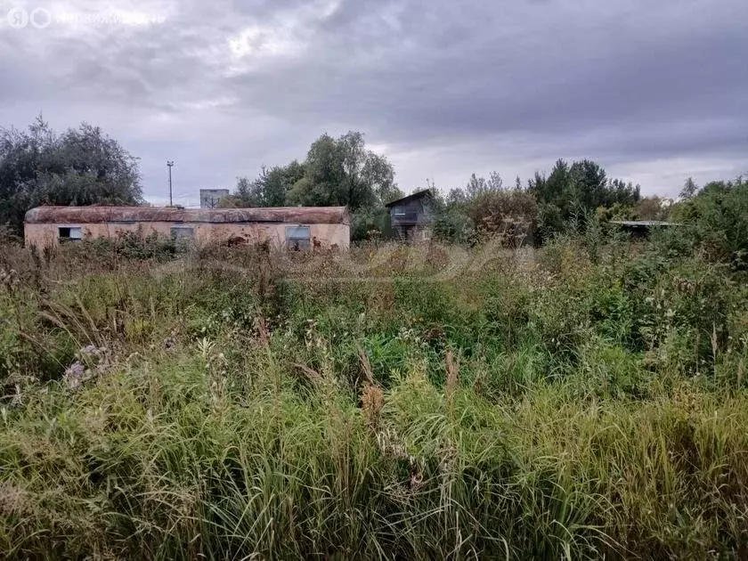 Участок в Тобольск, садоводческое общество Колос (13.2 м) - Фото 1