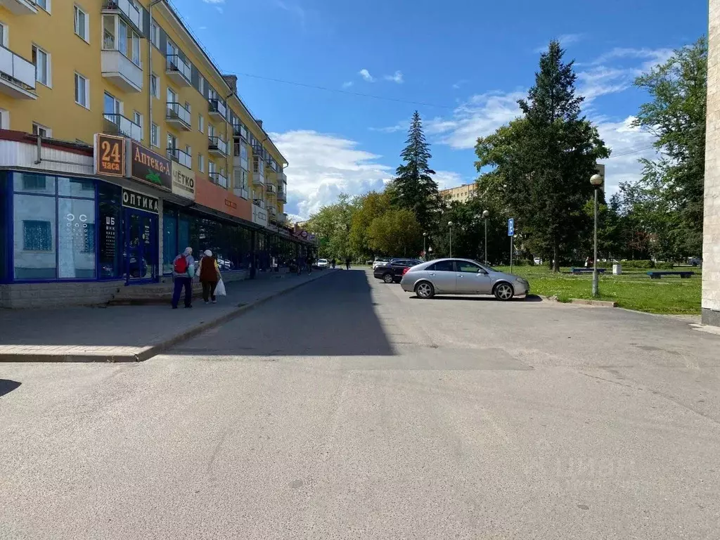 Помещение свободного назначения в Псковская область, Псков Рижский . - Фото 1