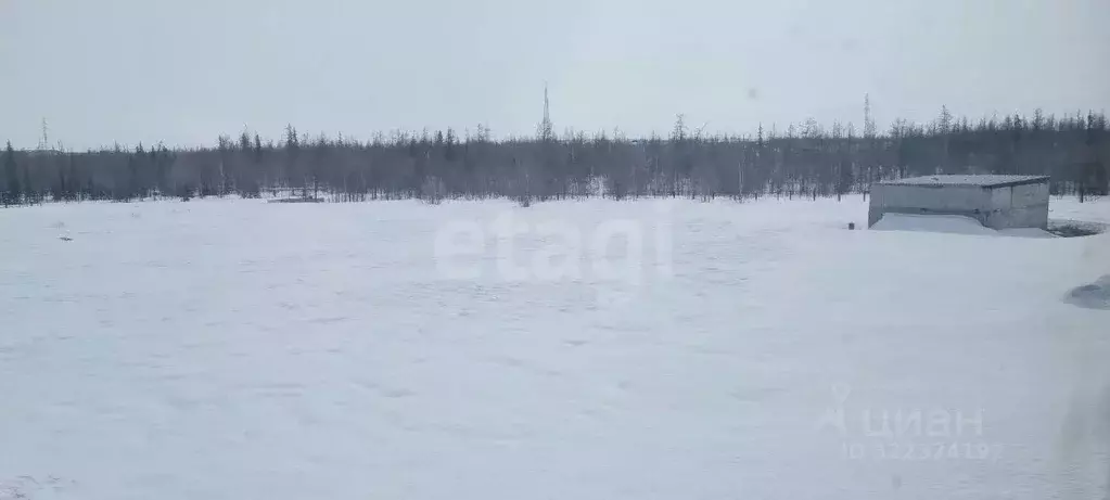 Склад в Ямало-Ненецкий АО, Новый Уренгой ул. Геологоразведчиков, 13 ... - Фото 1