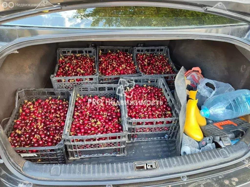 Участок в Бахчисарайский район, Ароматненское сельское поселение, село ... - Фото 2