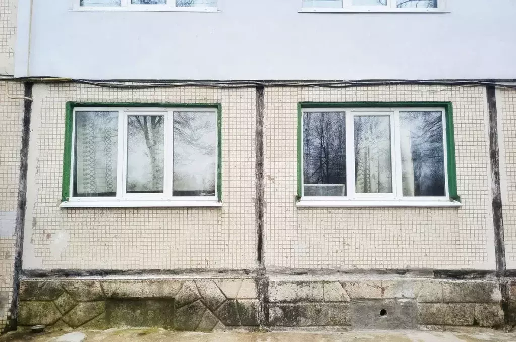 2-к кв. Калужская область, Ферзиковский муниципальный округ, ... - Фото 1