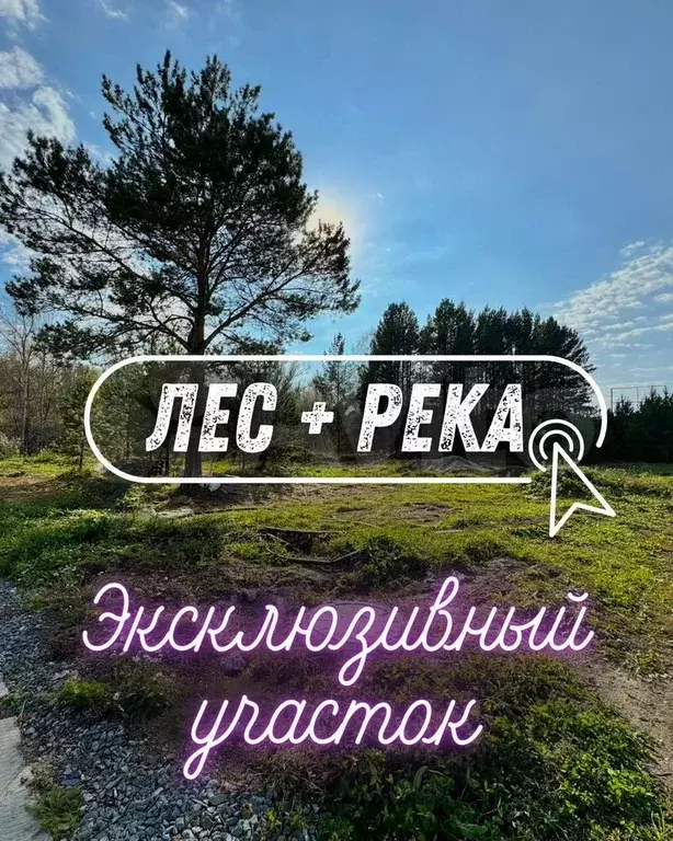 Участок 15 сот. (СНТ, ДНП) - Фото 0