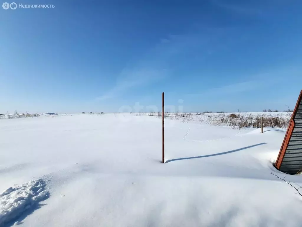 Участок в деревня Меркульево, улица Ленина (40 м) - Фото 2
