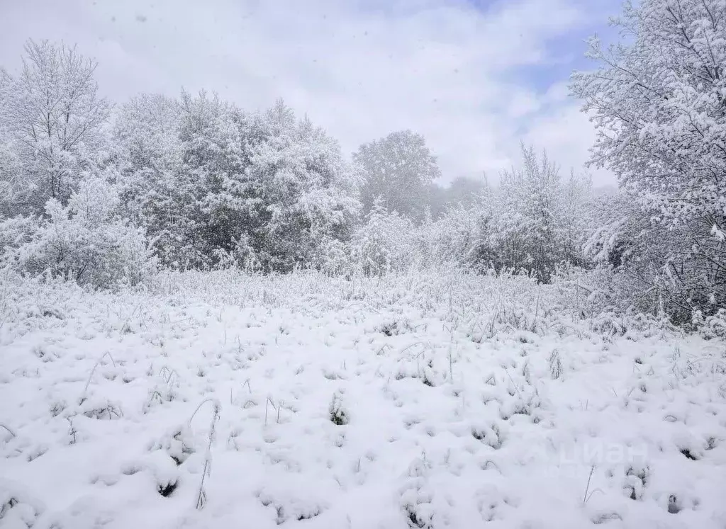 Участок в Камчатский край, Елизовский муниципальный округ, Звездочка ... - Фото 2