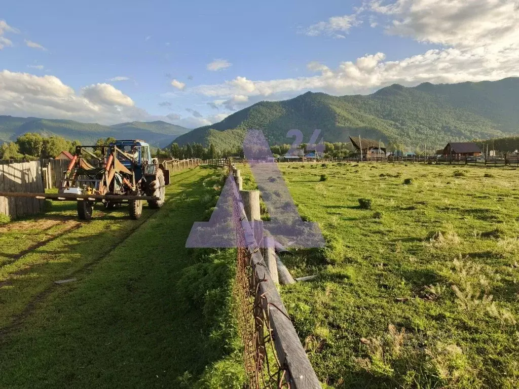 Участок в Алтай, Усть-Коксинский район, с. Мульта ул. Садовая (13.9 ... - Фото 2