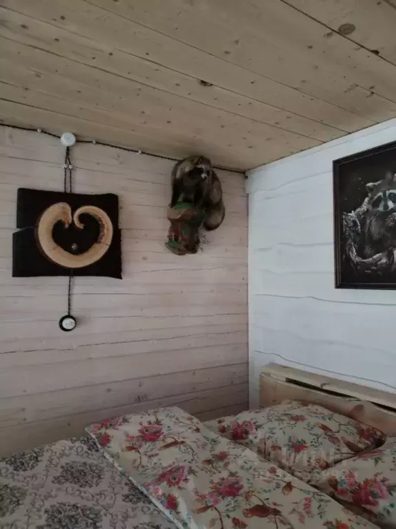 Дом в Алтай, Майминский район Р-256 Чуйский тракт, 489-й км, 1 (30 м) - Фото 2