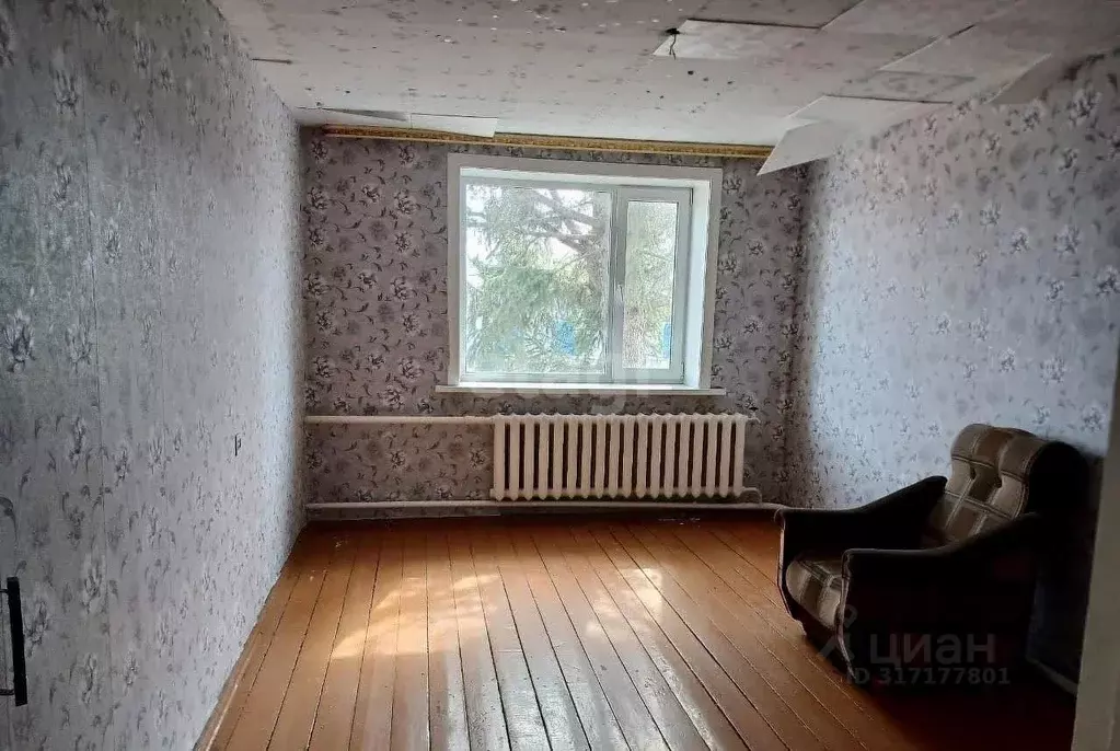 Дом в Амурская область, Свободненский район, с. Желтоярово ул. Мира ... - Фото 1