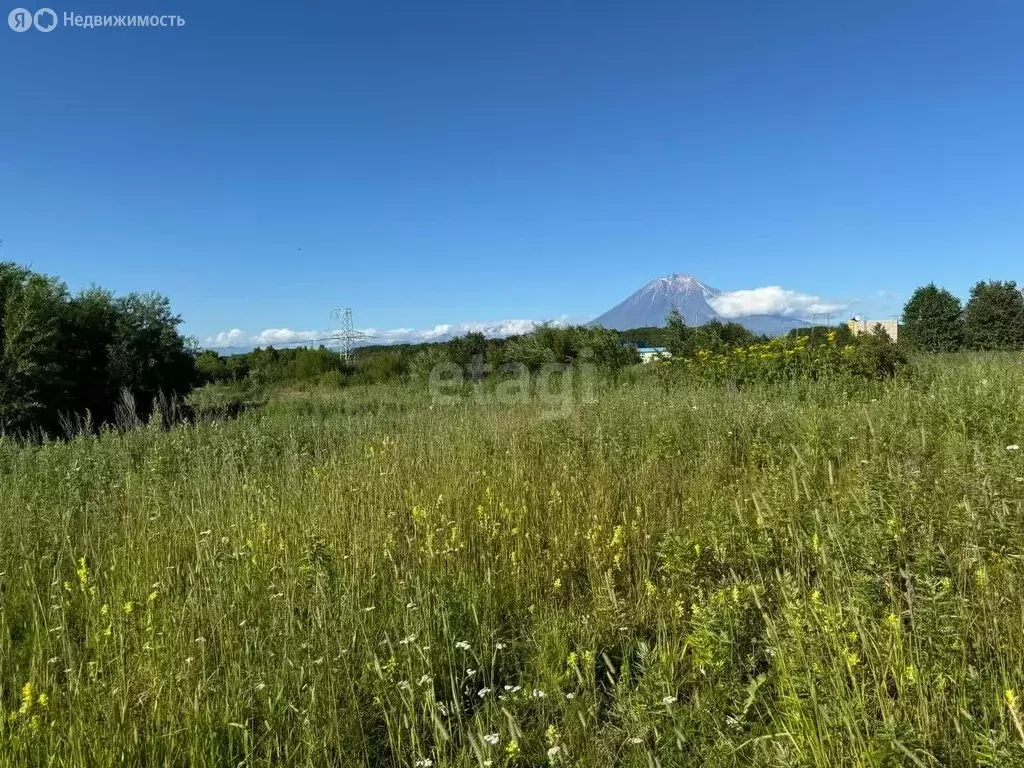Участок в Камчатский край, Елизовский муниципальный округ, посёлок ... - Фото 1