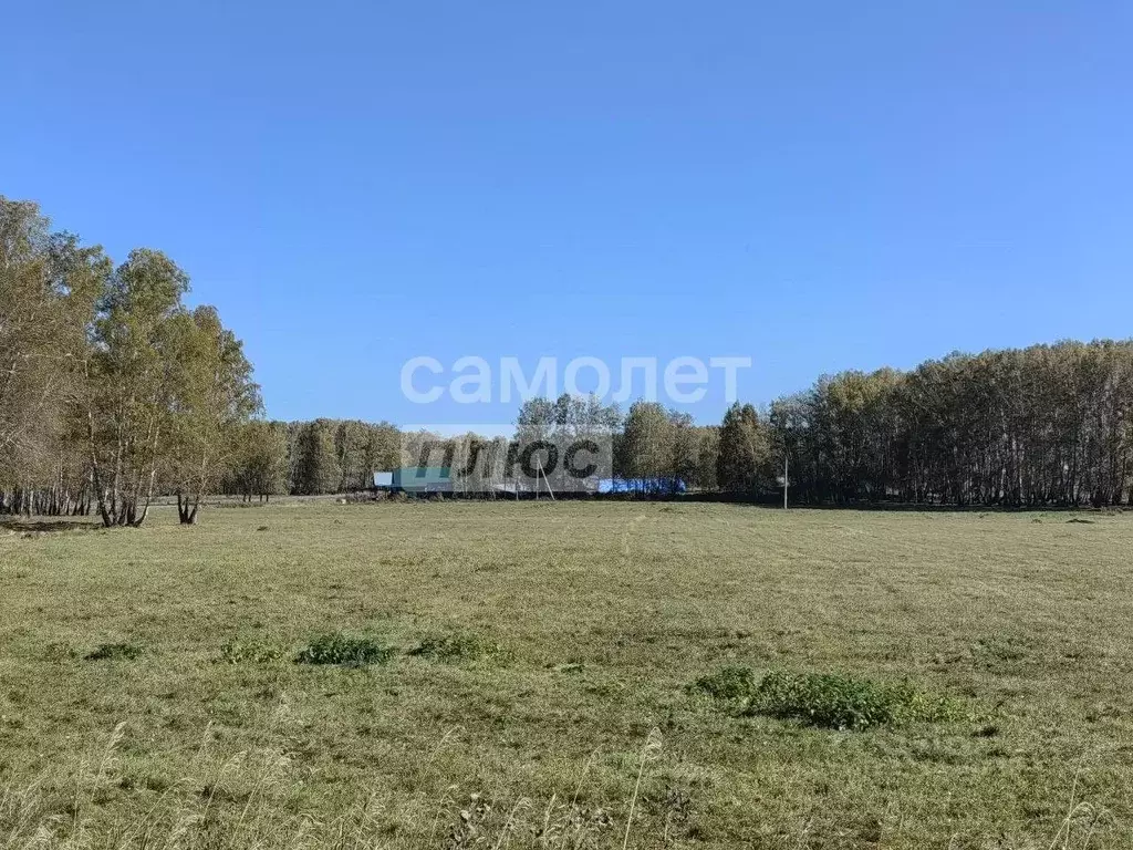 Участок в Челябинская область, Аргаяшский муниципальный округ, ... - Фото 1