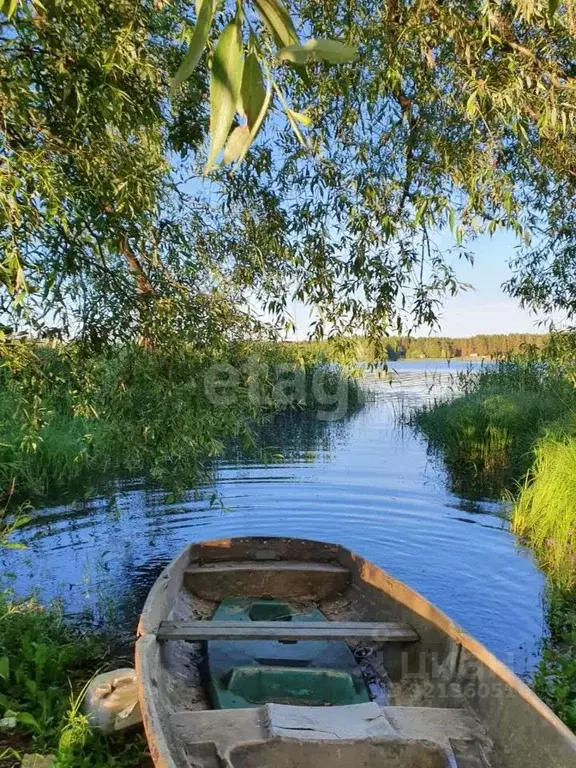 Участок в Псковская область, Печорский муниципальный округ, д. ... - Фото 1