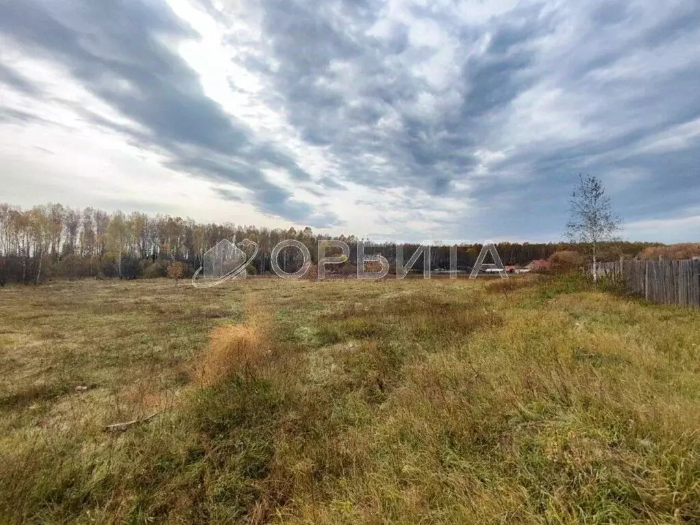 Участок в Тюменская область, Нижнетавдинский муниципальный округ, пос. ... - Фото 2