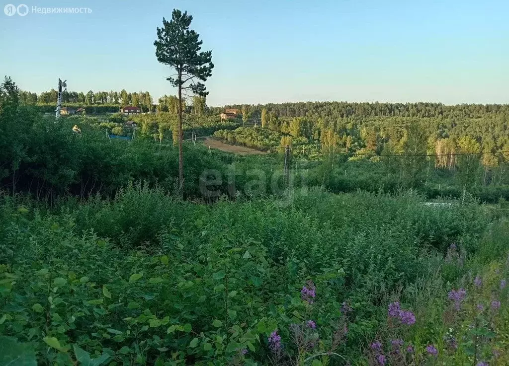 Участок в Иркутский муниципальный округ, деревня Новолисиха, посёлок ... - Фото 1