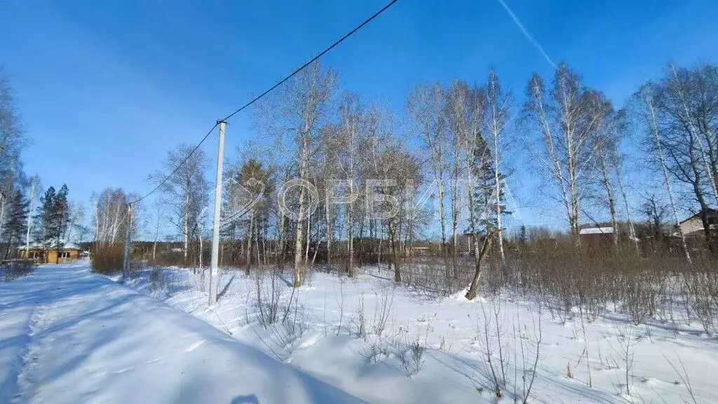 Участок в Тюменская область, Тюменский район, д. Зырянка  (11.79 сот.) - Фото 1