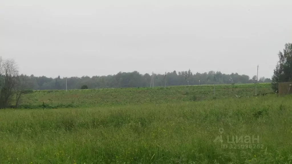 Участок в Московская область, Рузский муниципальный округ, д. ... - Фото 2