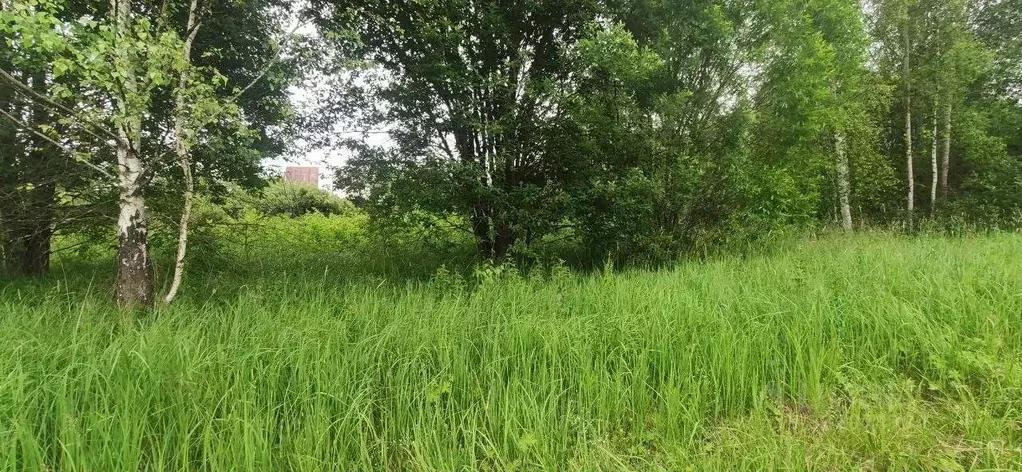 Участок в Московская область, Талдомский городской округ, д. ... - Фото 0