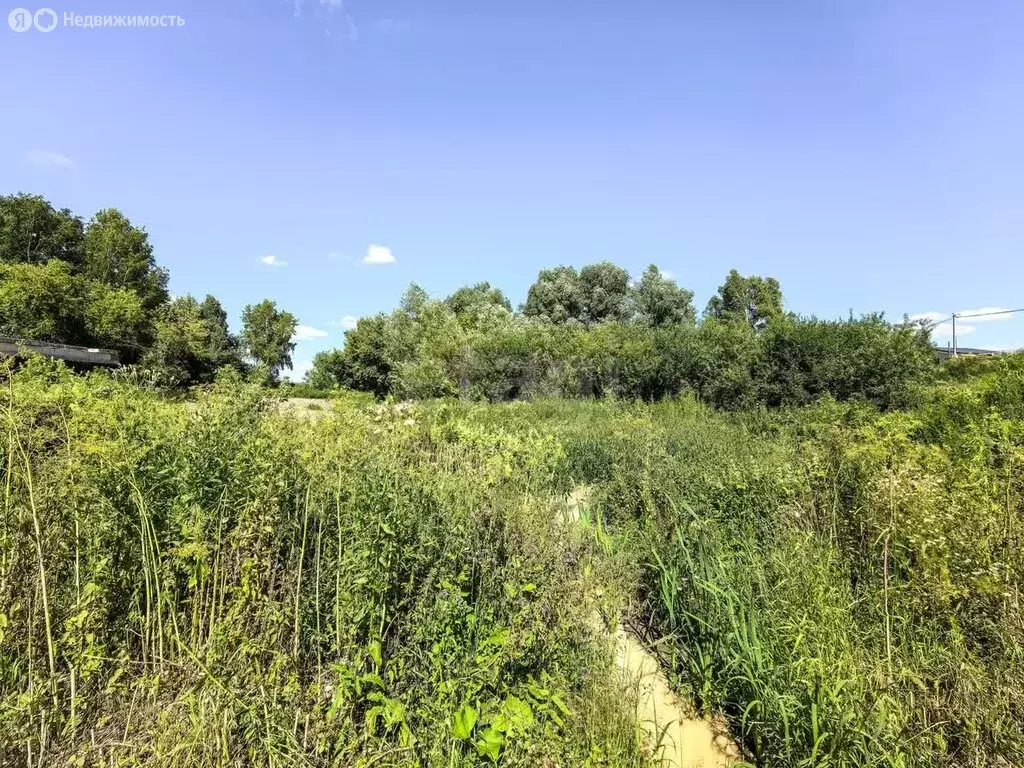 Участок в Каменский сельсовет, микрорайон Гармония (10 м) - Фото 0